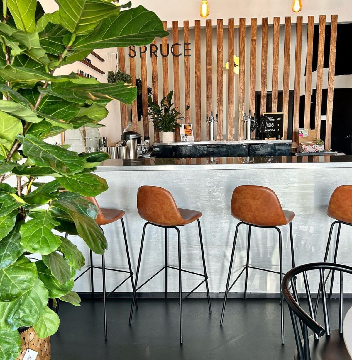 Spruce Plant Bar To Open Second Outpost In Murray Hill