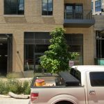 Chef Matt Baker to Open No Se, a Mediterranean Wine Bar, near Union Market