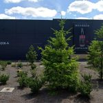 40 Acres Blending Co Will Soon Open in Snohomish