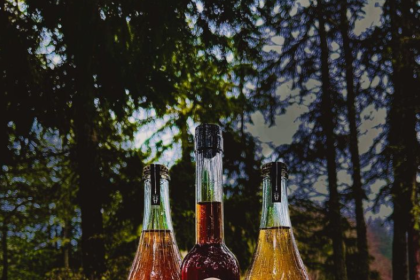 Dragon's Head Cider Will Soon Expand With a Second Location in Vashon