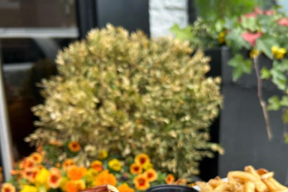 Empire Burgers + Brews Will Open Their Second Location Soon As One of Yorktown Center's New Concepts