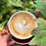 Backlot Coffee Will Soon Expand With a Third Location