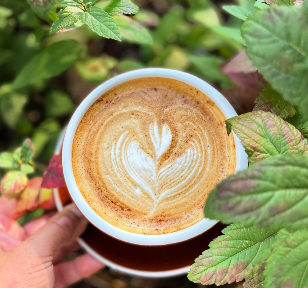 Backlot Coffee Will Soon Expand With a Third Location