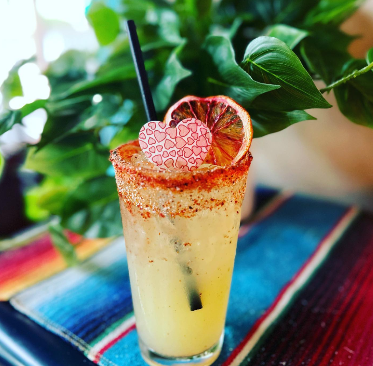 COA Mexican Eatery and Tequileria Set to Expand to Bellingham With a Third Location