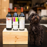 Crunchy Red Fruit Set to Open Another Location in Bellevue's Bel-Red Area