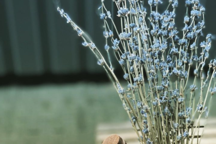 Pedestrian Coffee Expands to Logan Square With a Second Location