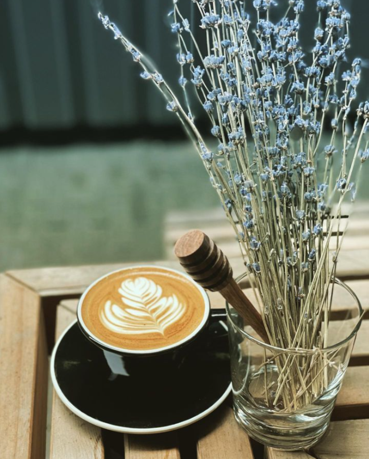 Pedestrian Coffee Expands to Logan Square With a Second Location