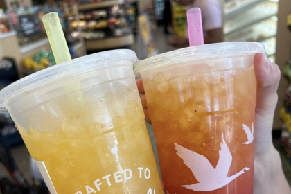 Wawa Convenience Store Chain Coming to Springfield, Searching for Nashville Sites