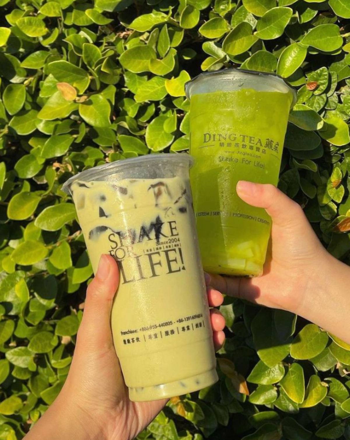 Ding Tea in Rolling Meadows Set to Have Upcoming Renovations