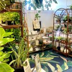 New Plant Shop/ Wine Bar Coming to Rock Hill