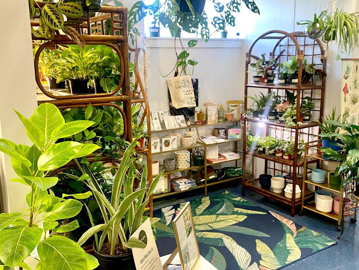 New Plant Shop/ Wine Bar Coming to Rock Hill