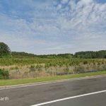 Redevelopment of Stone Mountain Site Moves Forward Photo 01