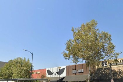 The Conch Arturo Concha