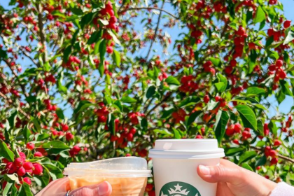 A New Starbucks Location Has Been Proposed In Crystal Lake