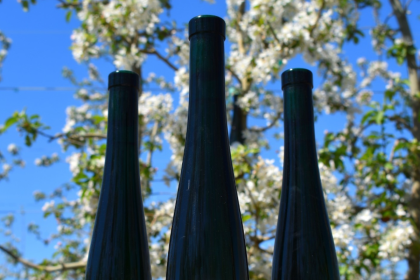 Recusant Cellars Will Soon Open Its First Tasting Room in Kennewick