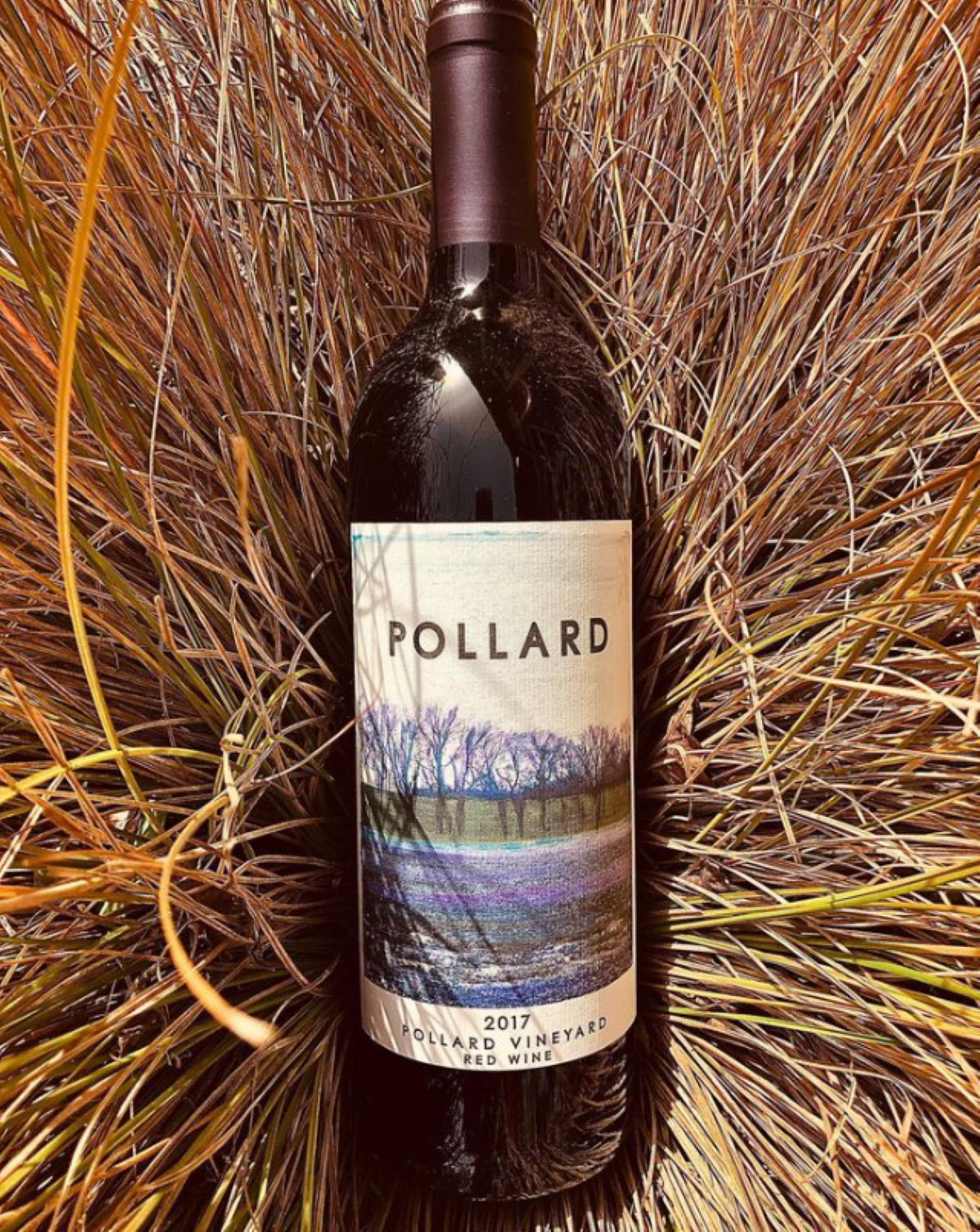 Wine Shop Vashon Will Be Expanding With a New Wine Cafe Concept