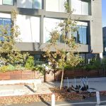 A New Italian Restaurant Is Replacing Etta in Culver City