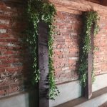 Ash's Irish Pub: A Cozy Gem in Olive Branch's Old Towne Parish