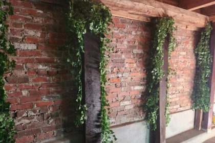 Ash's Irish Pub: A Cozy Gem in Olive Branch's Old Towne Parish