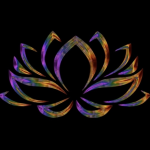 Lotus on the Beach: A New Asian Fusion Experience Set to Bloom at Former Pegasus Pizza Location