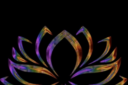 Lotus on the Beach: A New Asian Fusion Experience Set to Bloom at Former Pegasus Pizza Location