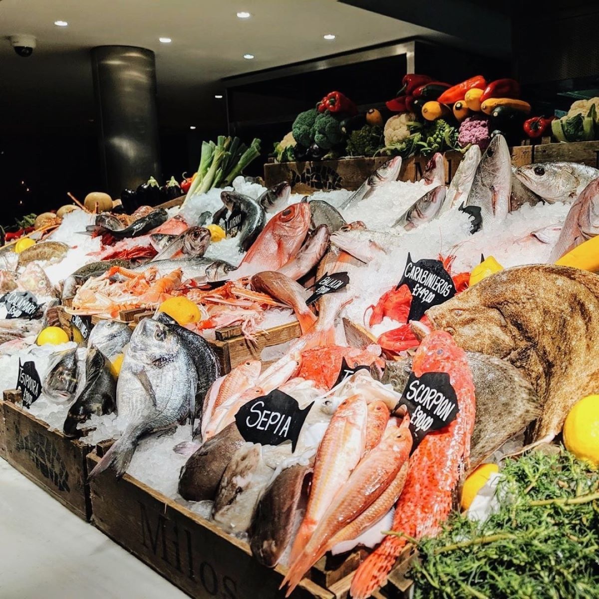 This Greek Seafood Legend is Coming to L.A.