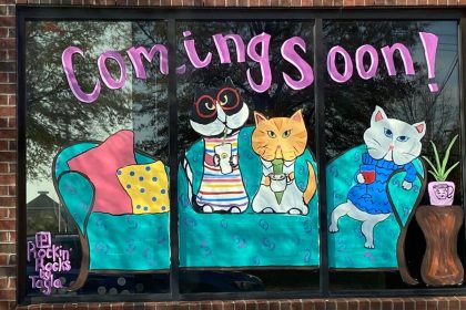 Rock Hill's First Cat Cafe Opening in Spring 2024