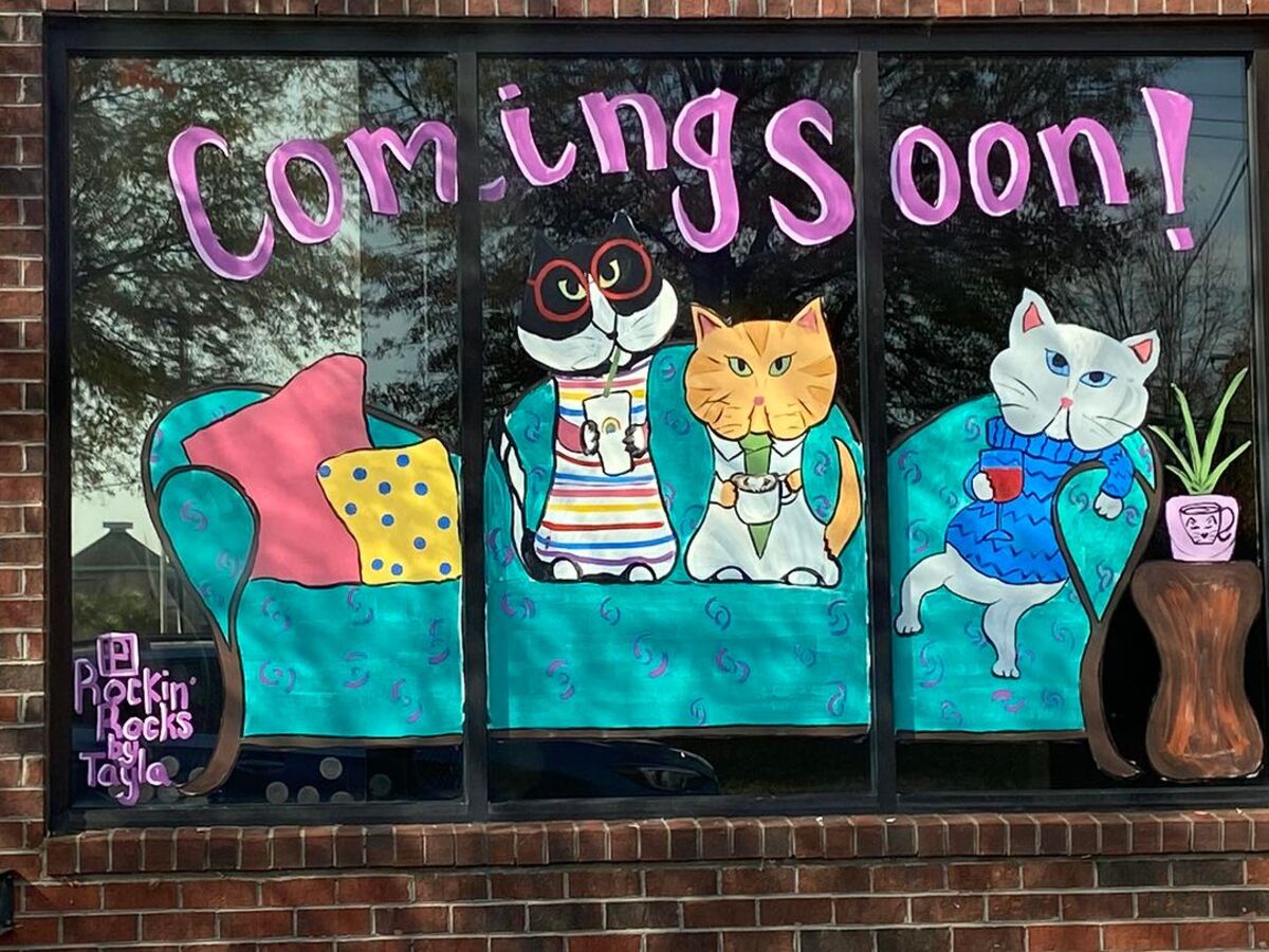Rock Hill's First Cat Cafe Opening in Spring 2024