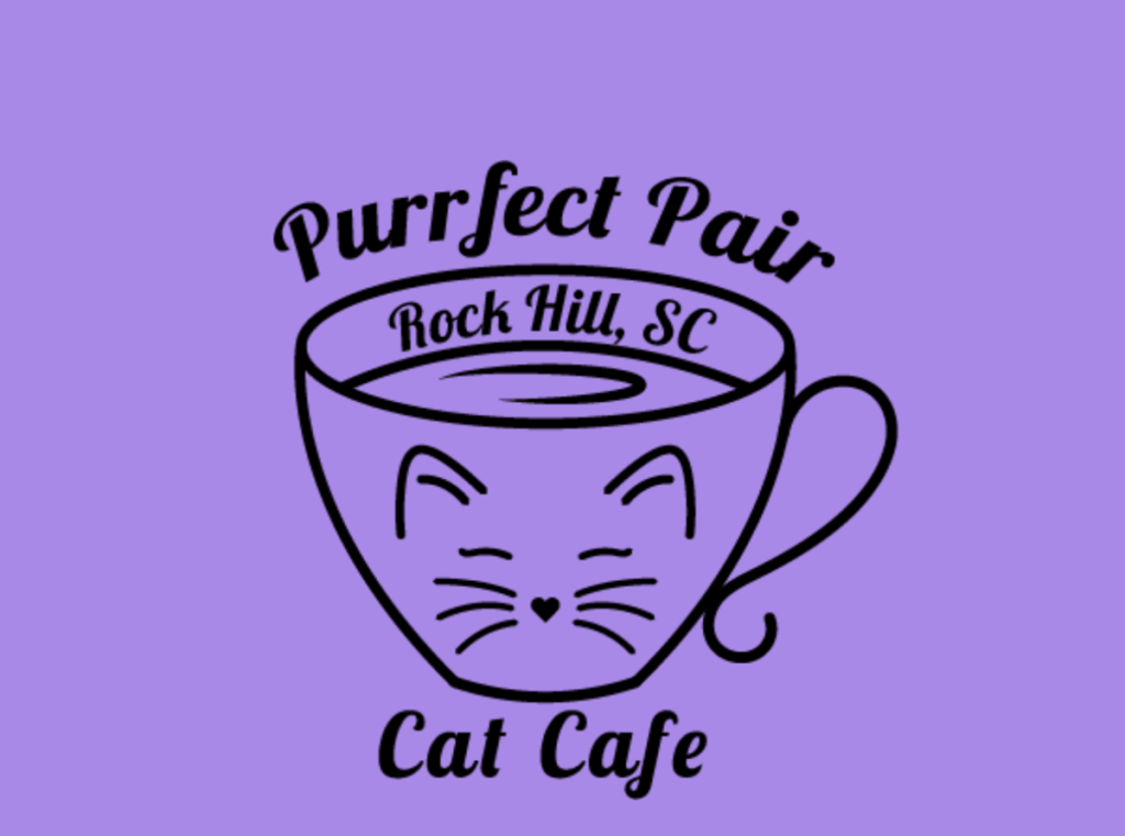 Rock Hill's First Cat Cafe Opening in Spring 2024