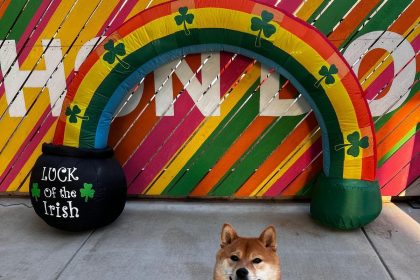 Bark Social Coming to Columbia in 2024