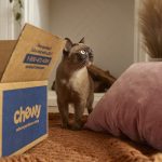 Chewy to Open Two Veterinary Practices in Atlanta Photo 01