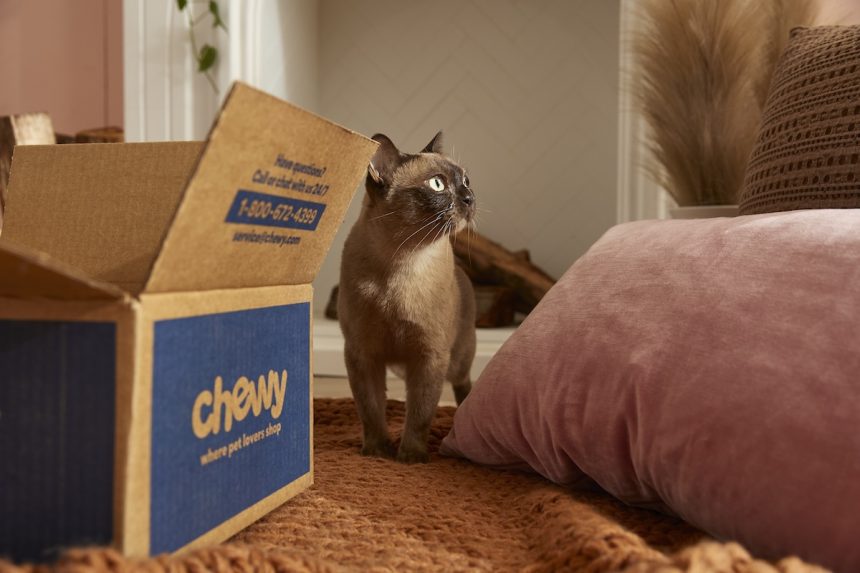 Chewy to Open Two Veterinary Practices in Atlanta Photo 01