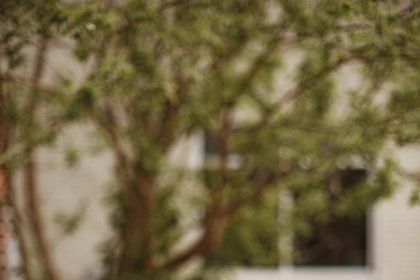 FERMENTERIA, A UNIQUE NEW ALCOHOLIC BEVERAGE, OPENS TAPROOM IN SAN ANTONIO