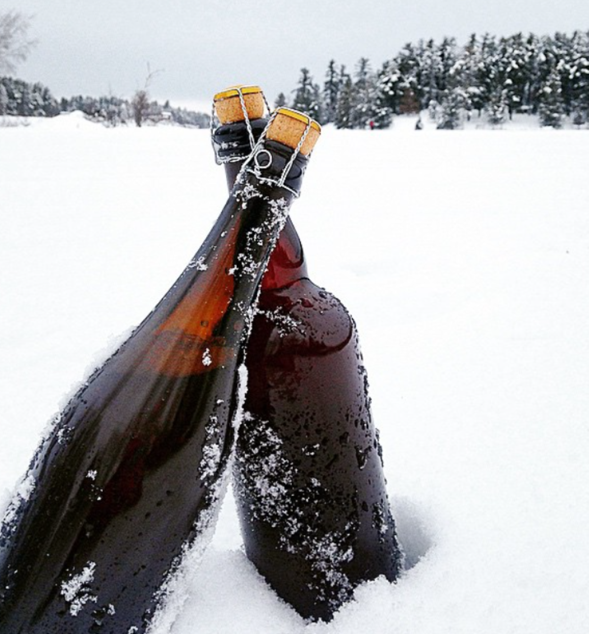 Monochrome Brewing Has Its Eyes on the Pilsen Area