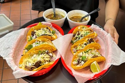 Taco Zocalo Bringing High-Quality Mexican Food to Falls Church