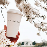 Tatte Bakery Coming to Georgetown