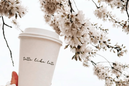 Tatte Bakery Coming to Georgetown