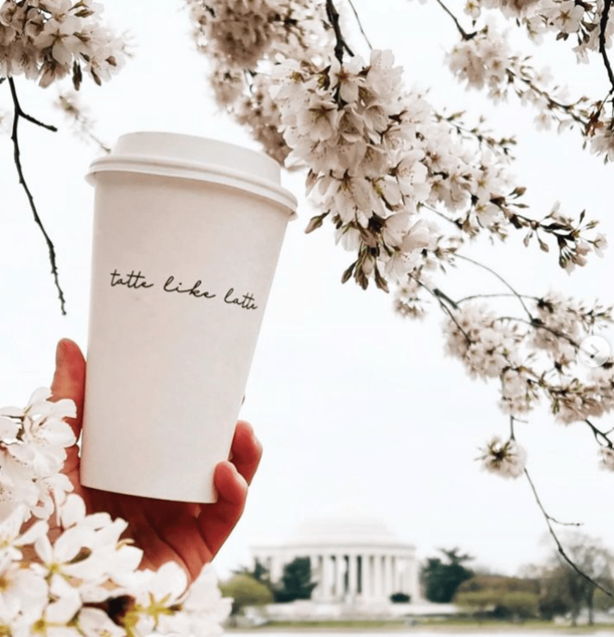 Tatte Bakery Coming to Georgetown