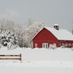 Denver Botanic Gardens