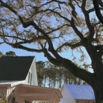 A Modern Sea Island Café and Bar Coming to Hayes Park, Johns Island