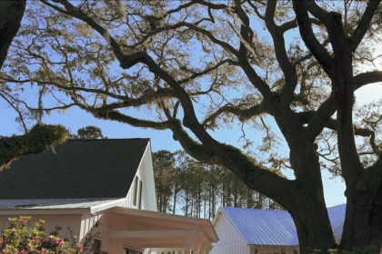 A Modern Sea Island Café and Bar Coming to Hayes Park, Johns Island