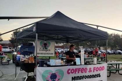 The Ecologica Opening Permanent Location in Stone Climbing Gym