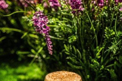 Zoning Board Approves Four-Story Restaurant with Mini-Golf in Boston's Back Bay