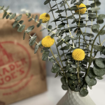 Trader Joe's Coming to Chastain Market