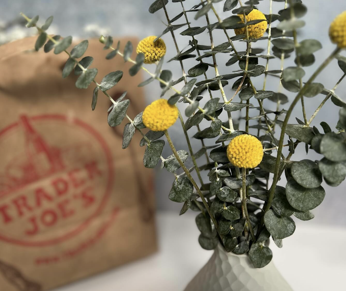 Trader Joe's Coming to Chastain Market