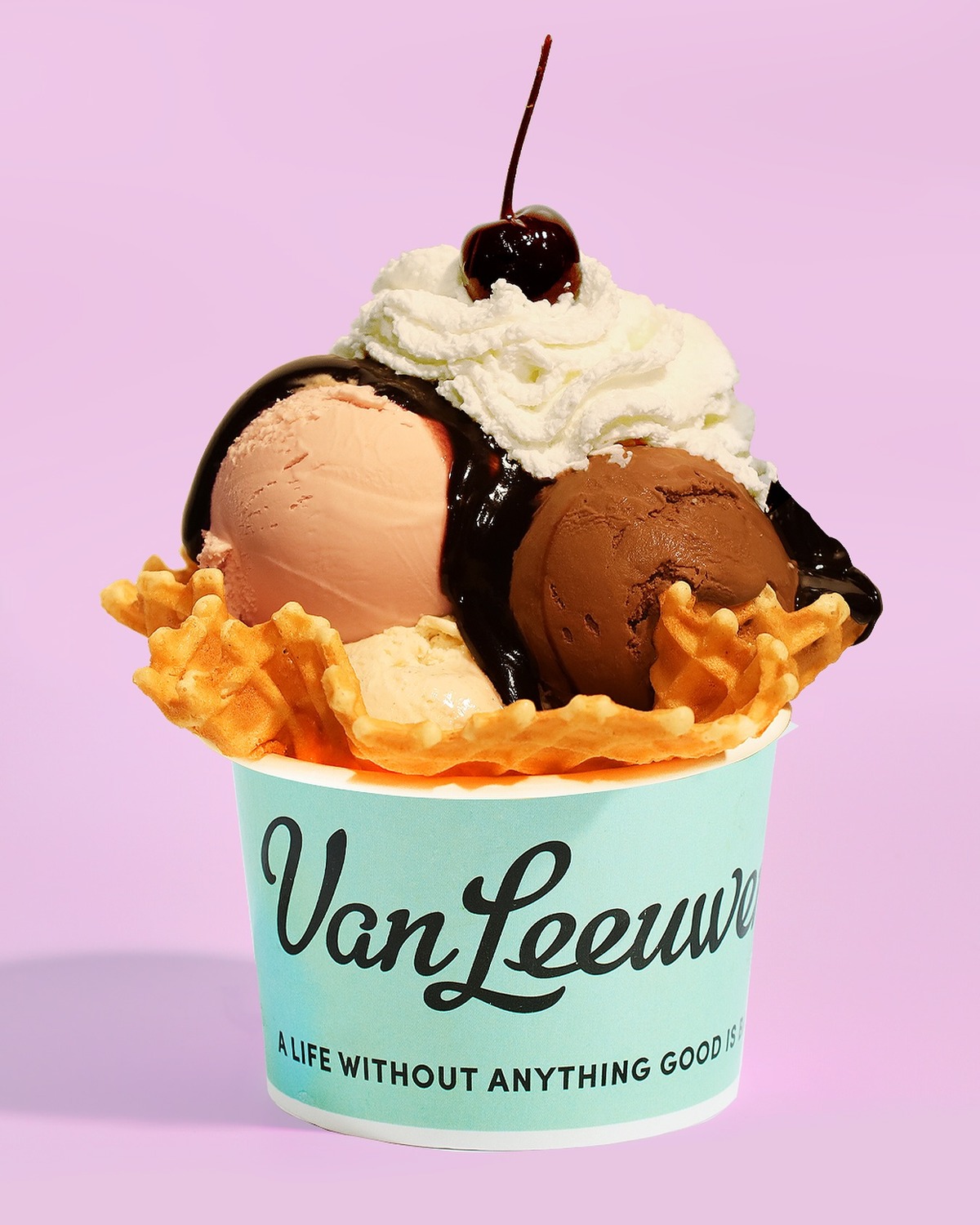 Van Leeuwen Scooping into Arlington