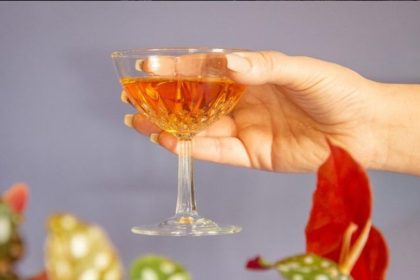 Vinery Crafting the Perfect Pairing of Wine and Plants in Cleveland Park