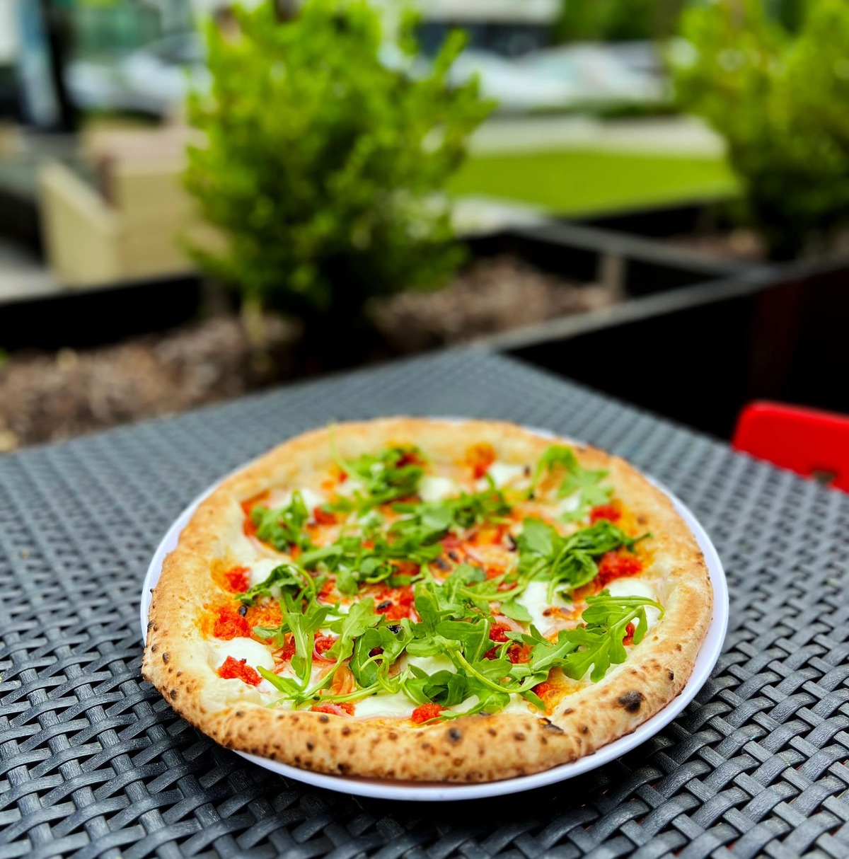 Pupatella Moves Closer to Old Town North Opening