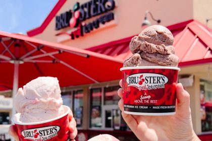 brusters ice cream riverview 2024/25
