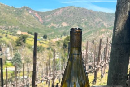 AJA Vineyards To Open Its First Tasting Room